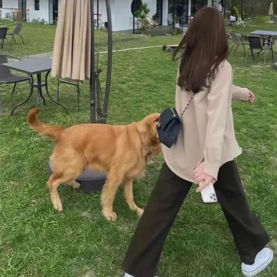 骷髅13