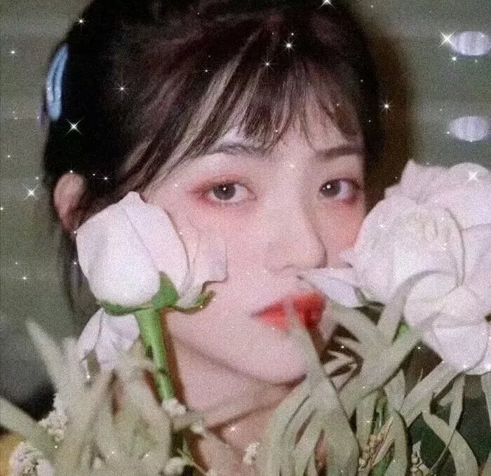 水星领航员第一季