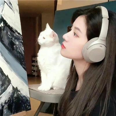 美味盛宴